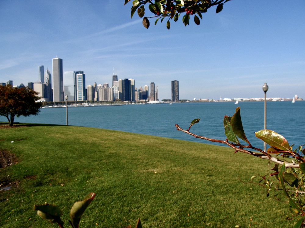 How Skilled Migrants Can Secure Their Future in Australia